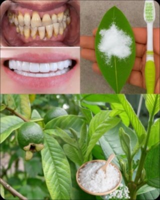 ¡Adiós al Amarillo! El Remedio Casero de 2 Ingredientes que Transformará tu Sonrisa en Semanas (y es 100% Natural)