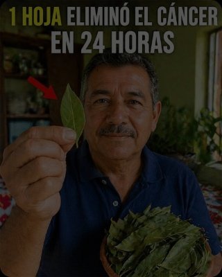 ¡ALERTA URGENTE! La 'Hoja Milagrosa' que Te Prometen Podría Estar Poniendo Tu SALUD en PELIGRO (Descubre la Verdad HOY)