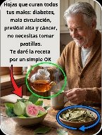 El Secreto Ancestral que Tu Doctor NO Te Ha Contado: Descubre los 5 Poderes Ocultos del Té de Hoja de Guayaba y Transforma Tu Salud