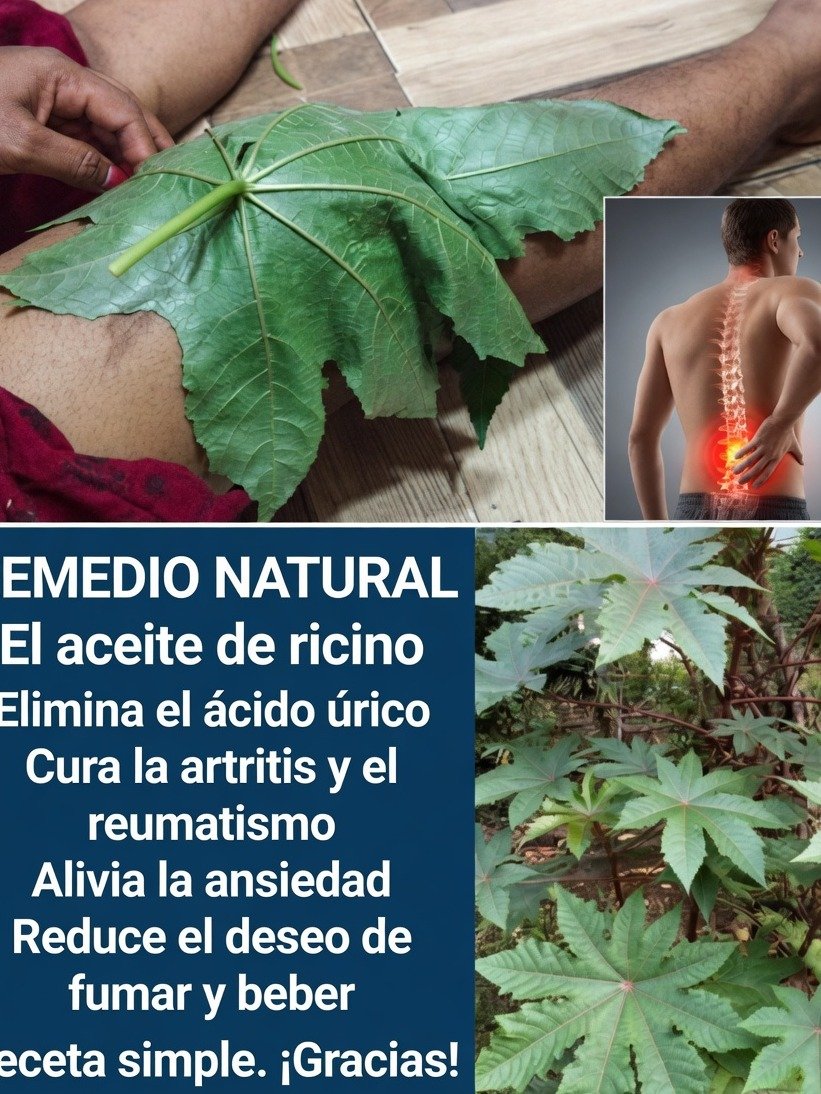 ¡NO LO CREERÁS! Un Solo Aceite Milenario Transformará Tu Cabello, Piel y Salud Desde HOY (El Secreto Mejor Guardado)