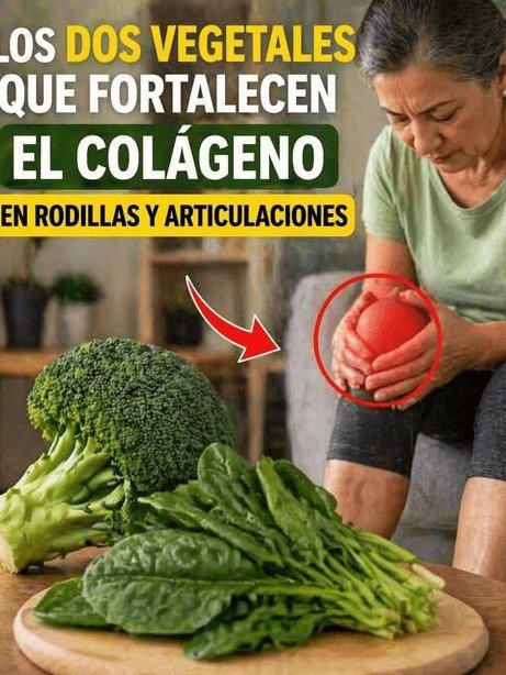 ¡ALERTA! Si tus rodillas te duelen y solo confías en estas 2 verduras, ¡estás cometiendo un ERROR! Lo que NADIE te cuenta para sanarlas.