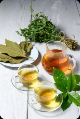 ¡Descubre el Poder Oculto! 7 Hojas Medicinales que Son Tu Farmacia Natural Secreta para una Salud de Hierro