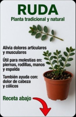 ¡No creerás lo que la Ruda puede hacer por ti! Los 15 Poderes Secretos de la Planta Ancestral para tu Salud (y 3 ADVERTENCIAS cruciales)