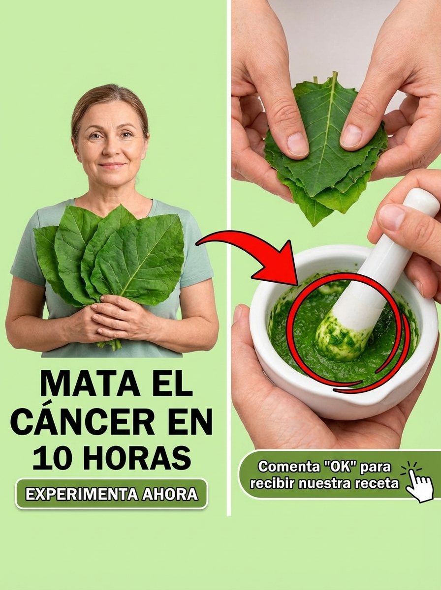 ¡ALERTA VIRAL! La Hoja de la que NADIE Quiere que Hables: ¿El Secreto Definitivo Contra el Cáncer o una Peligrosa Falsa Promesa? La Ciencia Habla Claro