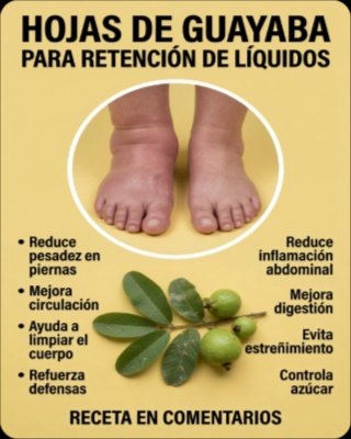 ¡Despídete de la Hinchazón! El Secreto Natural del Té de Hojas de Guayaba que DEBES Probar para Eliminar Líquidos