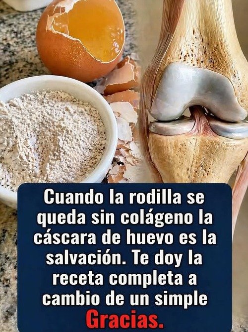 ¡No lo creerás! 🤯 Por qué estás TIRANDO un TESORO cada vez que abres un huevo: 7 Usos que cambiarán tu vida