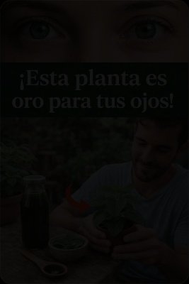 ¡ALERTA URGENTE! La VERDAD OCULTA sobre la 'planta milagrosa' para tu vista que NADIE te cuenta (y por qué estás perdiendo tu tiempo)