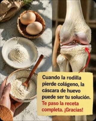 El ENGAÑO de la Cáscara de Huevo para tus Rodillas: ¡El RIESGO OCULTO que MILLONES IGNORAN hoy!