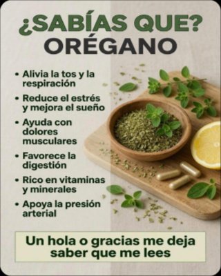 ¡Transforma tu Salud con Solo 1 Hoja! Los 5 Poderes Ocultos del Orégano Orejón que DEBES Conocer