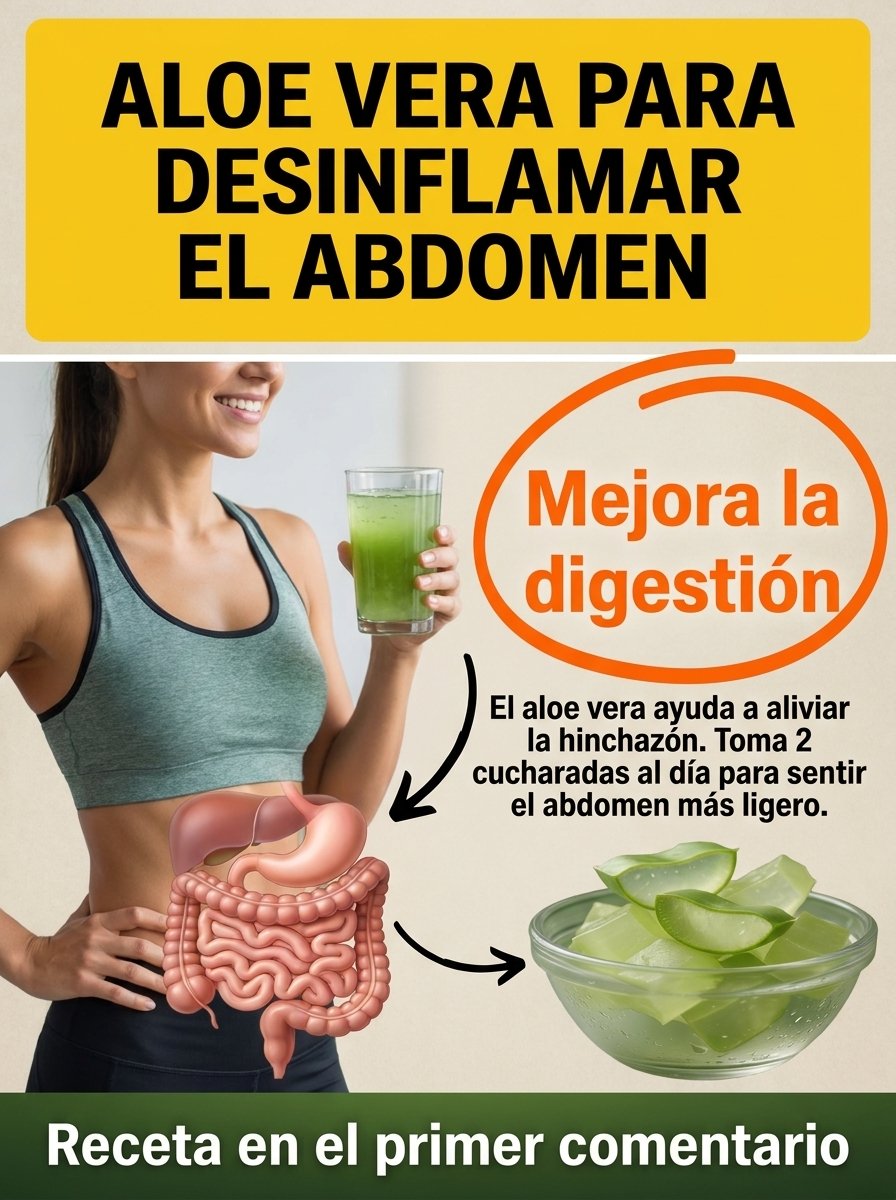 ¡ADIÓS Hinchazón! 🤫 El Secreto MILENARIO del Aloe Vera para Desintoxicar Tu Cuerpo y Sentirte LIGERO en Días (¡No te lo pierdas!)