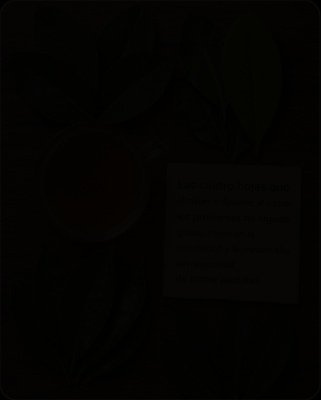 ¡El Secreto Olvidado de la Abuela! Este Té de 4 Hojas Puede Transformar Tu Mañana (y tu Bienestar) en Solo 2 Semanas