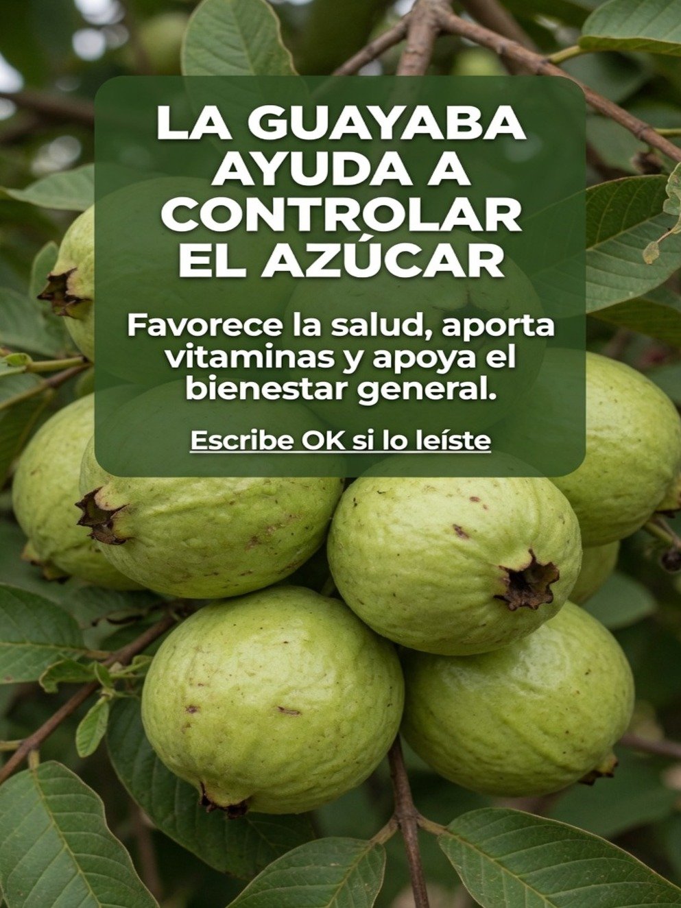 ¡ALERTA DIABETES! La Guayaba es el Arma SECRETA que BAJA tu Azúcar en SANGRE RÁPIDO (y nadie te lo cuenta)