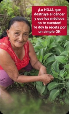 El SECRETO Revelado: ¿Se Pueden ELIMINAR Células Cancerígenas Naturalmente? Lo que la Ciencia TIENE QUE DECIR (¡No te lo Creerás!)