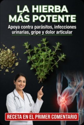 ¡Detente! El Tomillo Esconde 7 Poderes Secretos que NADIE te ha Contado (Y cómo Cambiarán Tu Salud HOY)