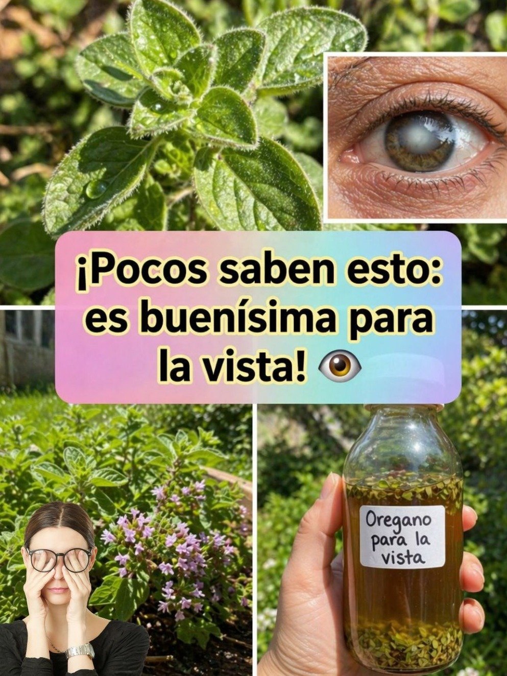 ¡No Vas a Creerlo! El Orégano Orejón es el Remedio Ancestral que Tu Cuerpo Necesita YA (y es Súper Fácil de Preparar)