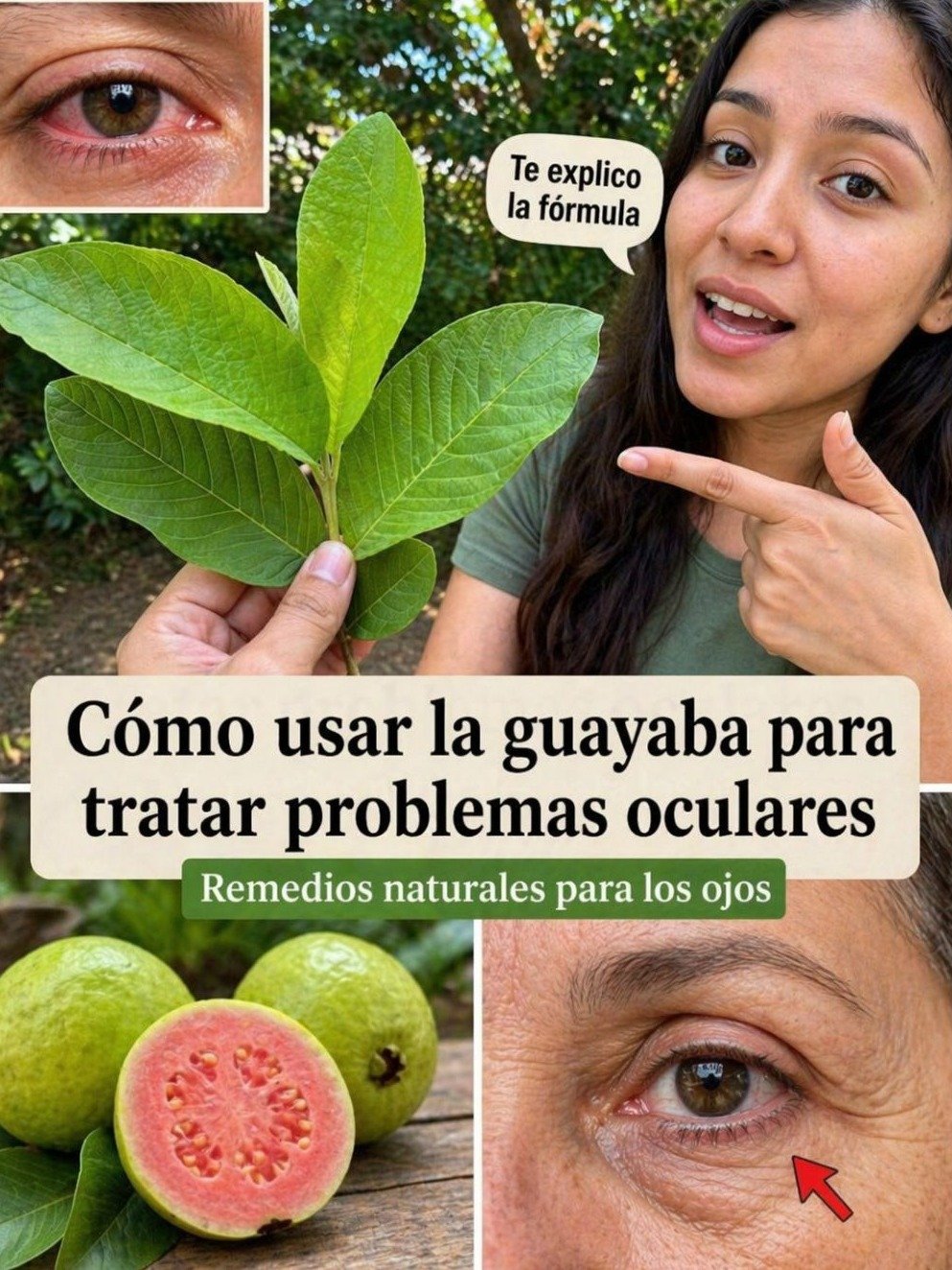 El Secreto Ancestral que NUNCA te Contaron: ¿Por Qué las Hojas de Guayaba Son el REMEDIO NATURAL que Tu Cuerpo Necesita URGENTE?