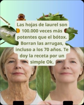 ¡Alerta Viral! La Hoja de Laurel: ¿El Secreto Definitivo Para Tu Salud o Un Peligroso Engaño? Lo Que DEBES Saber YA