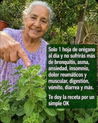 El Secreto Viral del Orégano y Laurel: ¿Realmente 'Limpia' Hígado y Riñones? La VERDAD que Nadie Te Cuenta