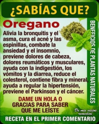 ¡No la arranques! Esta 'maleza' que tienes en casa es un tesoro oculto que vale oro y cambiará tu vida