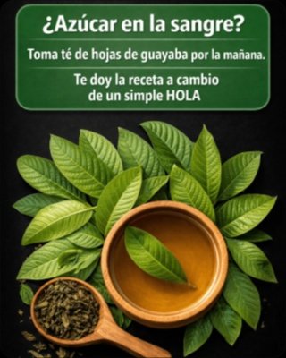 La Planta MILAGROSA que Crece en tu Jardín: Las Hojas de Guayaba y sus 9 Poderes Ocultos