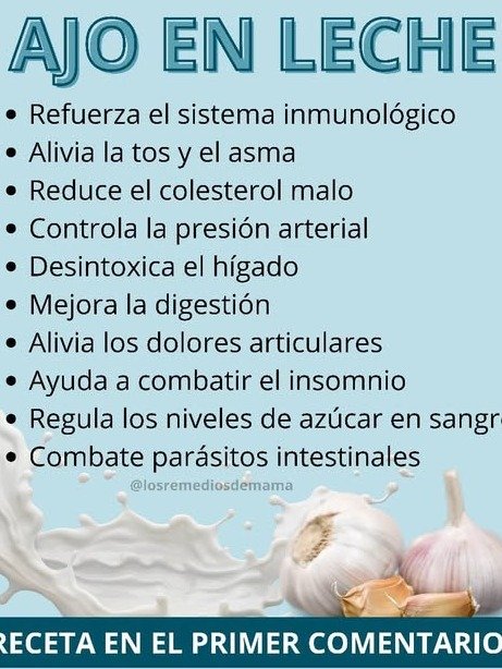La Verdad Oculta del Ajo con Leche: ¿Milagro o Engaño? ¡Lo que Nadie Te Cuenta Te Sorprenderá!