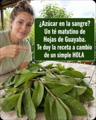 ¡Alerta Diabetes! 🚨 La Guayaba: ¿El Secreto Tropical para Controlar Tu Azúcar en Sangre que NO te Han Contado?