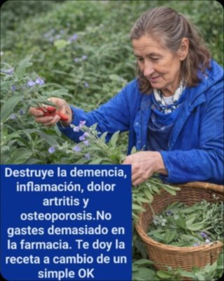 ¡El Secreto Ancestral Revelado! 9 Beneficios ASOMBROSOS de la Salvia que Transformarán tu Salud (y cómo usarlos BIEN)