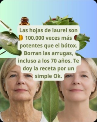 ¡Alerta! Si usas hojas de laurel, DEBES saber esto: sus 7 poderes ocultos que transformarán tu salud (y tu sueño)