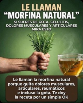 ¡Adiós Dolor! El Romero es la 'Morfina Natural' que Nadie Te Ha Contado y Sus 6 Beneficios Revolucionarán Tu Salud
