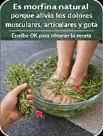 ¡El Secreto Ancestral que tus Pies Cansados Después de los 60 te Suplicarán! No Creerás lo que el Romero Puede Hacer por Ti