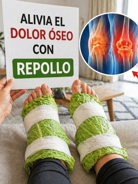 ¡El Truco Viral que Nadie te Contó! ¿Repollo en las Rodillas? Descubre el Secreto Casero que Podría Cambiar tu Día (y cómo aprovecharlo al máximo)