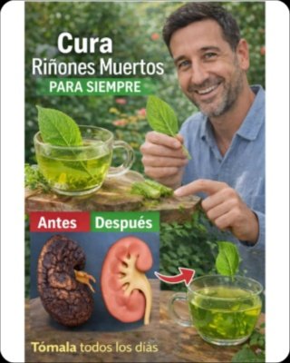 ¡No Pierdas Más Tiempo! 7 Hábitos Diarios Sencillos Que Tus Riñones Te Suplicarán Que Adopten (Y Te Harán Sentir Increíble)