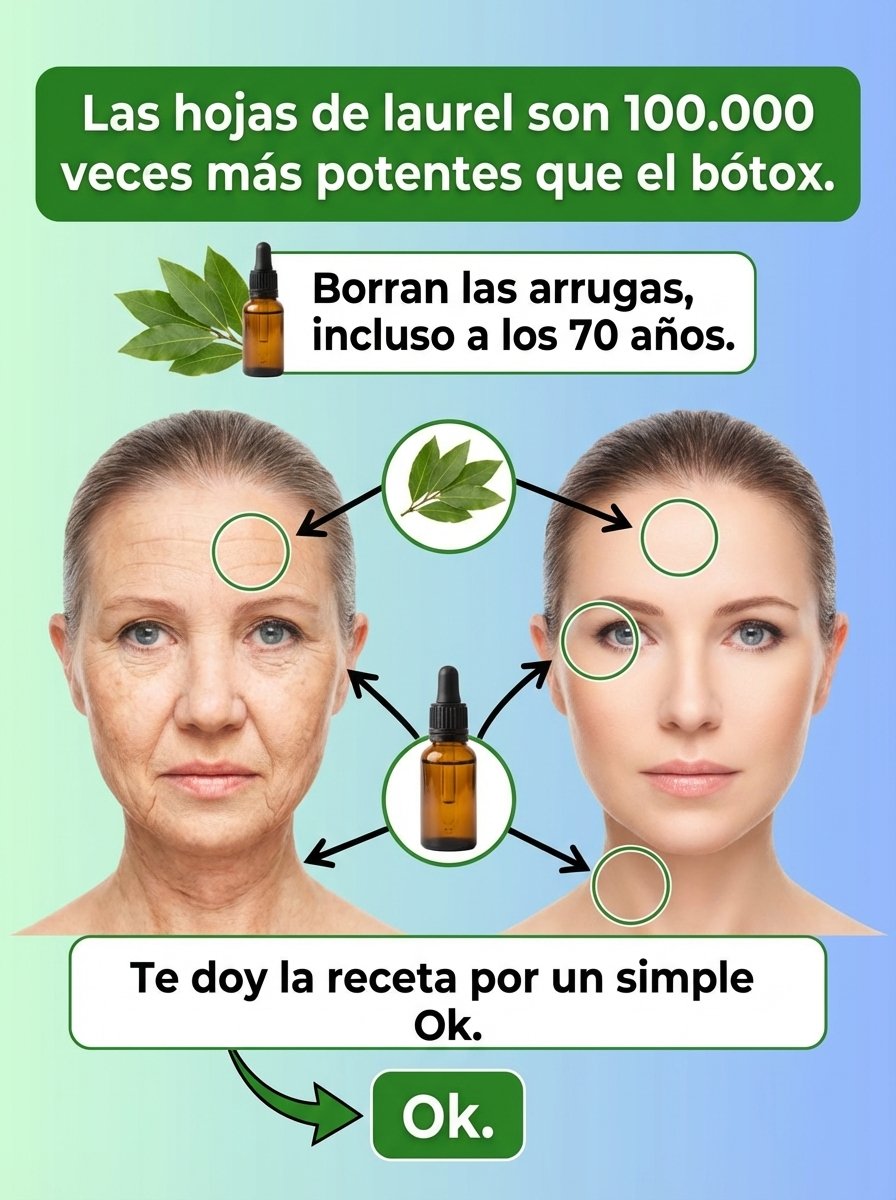 ¡No Querrás Perderte Esto! El Secreto Ancestral de la Hoja de Laurel que Tu Cuerpo Te Agradecerá (7 Beneficios SORPRENDENTES Confirmados por la Ciencia)