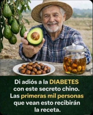 ¡NO tires la semilla de aguacate! Descubre sus 5 beneficios ESCONDIDOS (y los 3 RIESGOS que DEBES saber ANTES de beber este té)