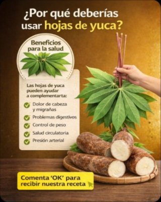 🌿 ¡No Creerás lo que las Hojas de Yuca Pueden Hacer por Ti! Descubre Sus 7 Poderes Ocultos (y Cómo Usarlas Sin Riesgos)