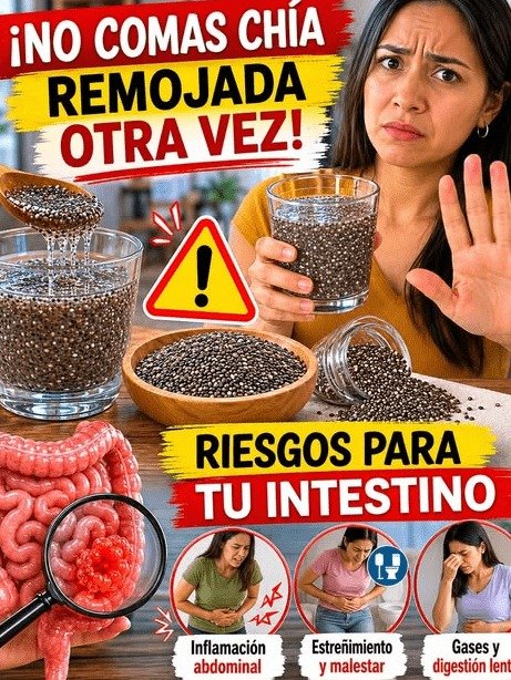 ¡Alerta Chía! ¿La Estás Remojando MAL? Los 5 Errores Que Destrozan Tu Intestino y Casi NADIE Conoce