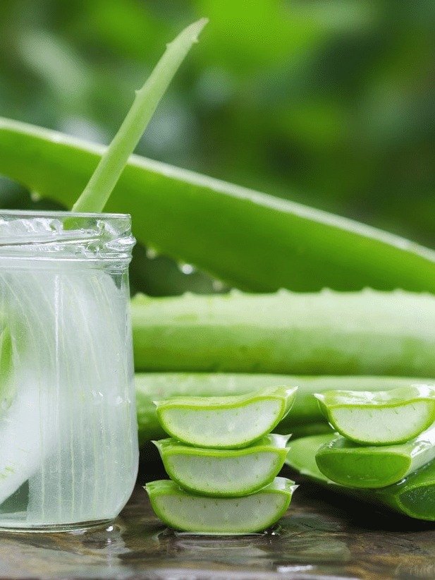¡Deja de Sentirte Pesado! El Secreto Diario con Aloe Vera que Transformará Tu Digestión (En Casa y Sin Riesgos)