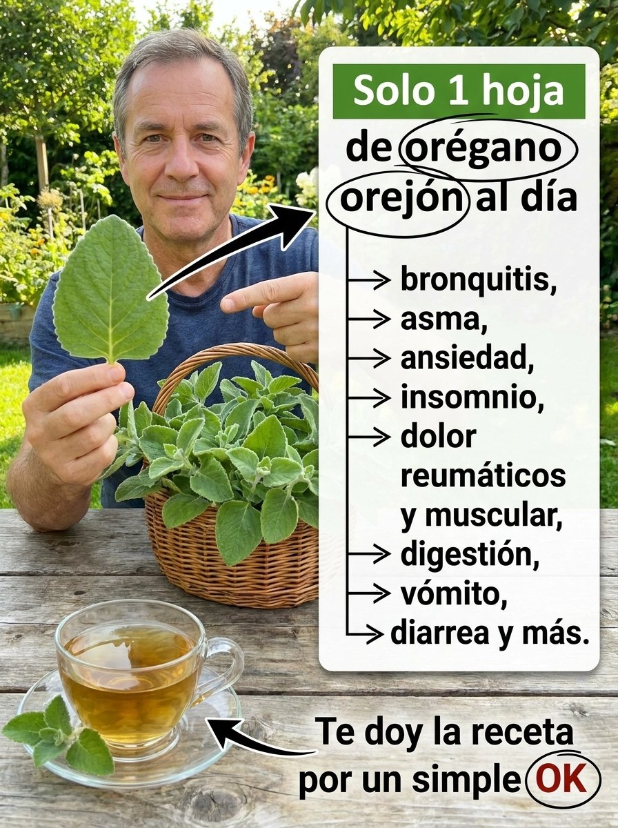 El Secreto Olvidado de la Naturaleza: ¡5 Razones Impactantes para Incorporar el Orégano Orejón a Tu Vida HOY!