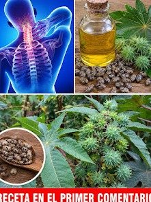 ¡No lo vas a creer! Tu jardín esconde este 'oro verde': 10 usos milagrosos de las hojas de ricino que transformarán tu salud