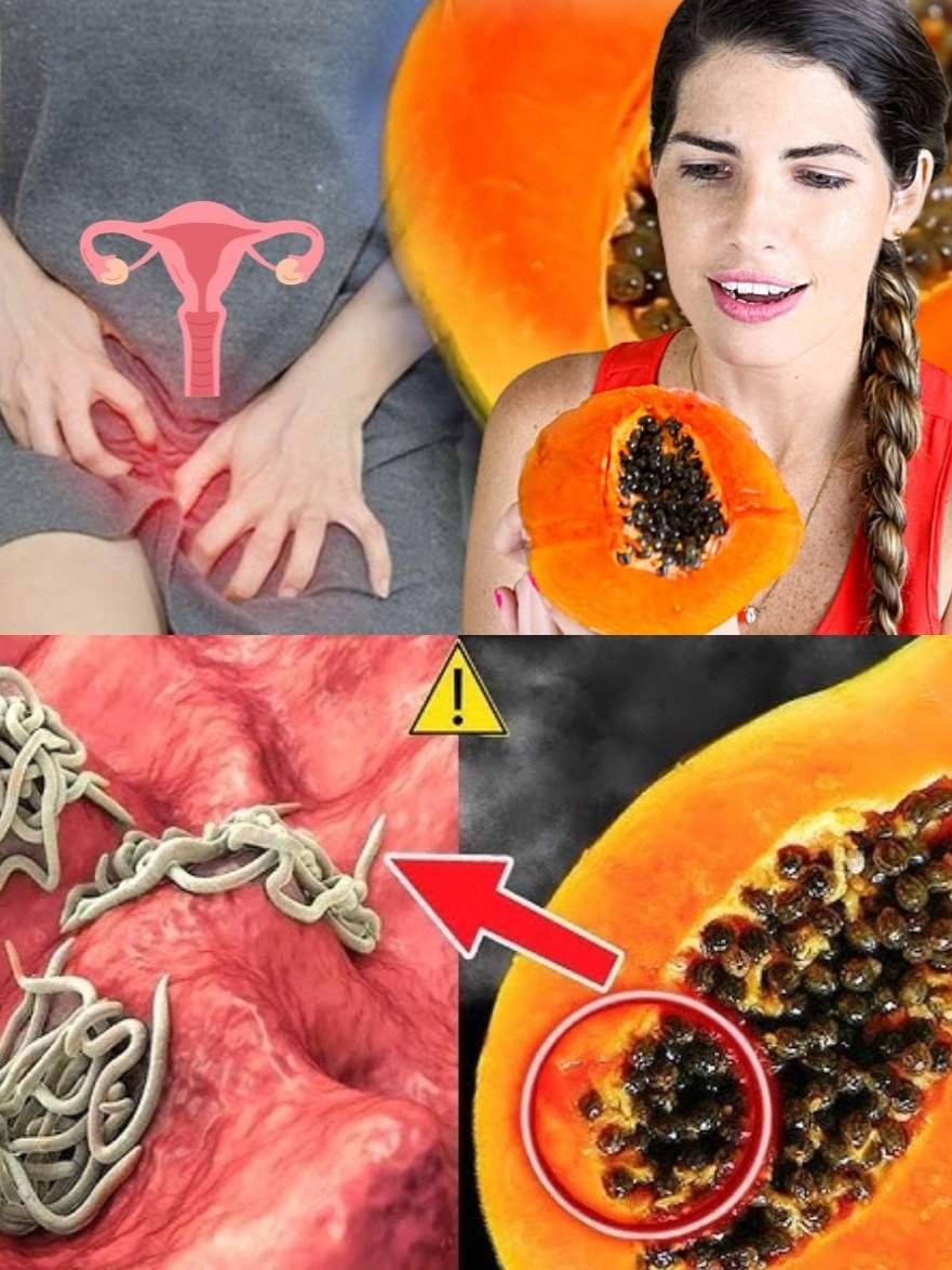 ¡Alto! Si Tiras las Semillas de Papaya, Estás Desperdiciando el Remedio Natural para ESTOS 10 Problemas de Salud (Tu Cuerpo Te Lo Agradecerá)