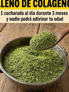 ¡El Secreto Anti-Edad que NADIE te ha Contado! Así la Moringa Activa tu Colágeno y Transforma tu Piel en Semanas