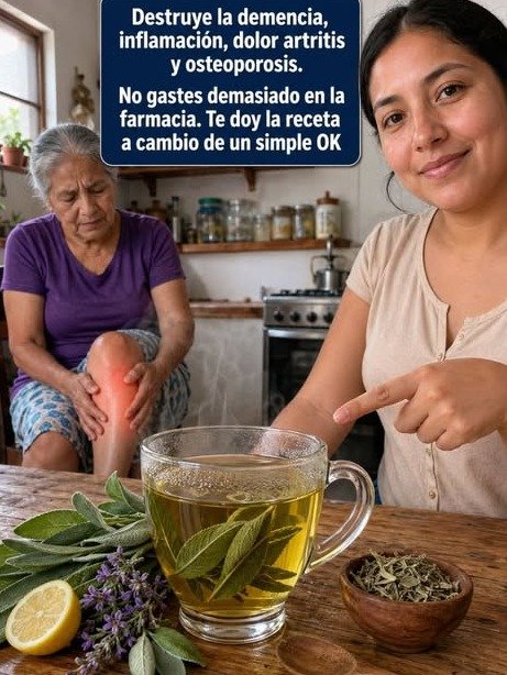 🔴 ¡ALERTA! El Secreto MILENARIO que Impulsa tu Memoria y Protege tu Cerebro: ¿Por Qué NO estás Tomando Té de Salvia YA?