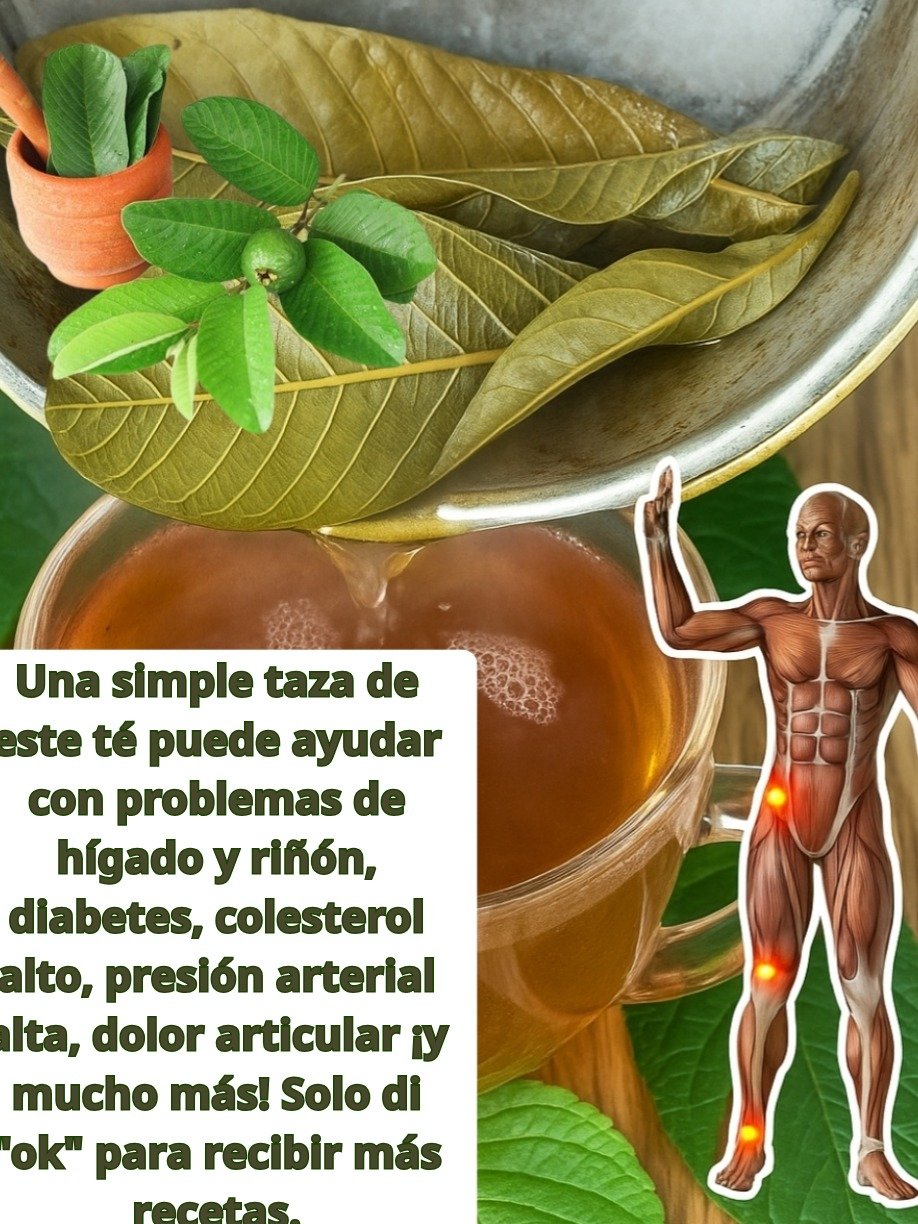 ¡ATENCIÓN! La Taza de Té que Tu Médico NO Te Ha Contado: Cómo las Hojas de Guayaba Pueden REVOLUCIONAR Tu Hígado, Riñones, Glucosa y MÁS (¡Naturalmente!)