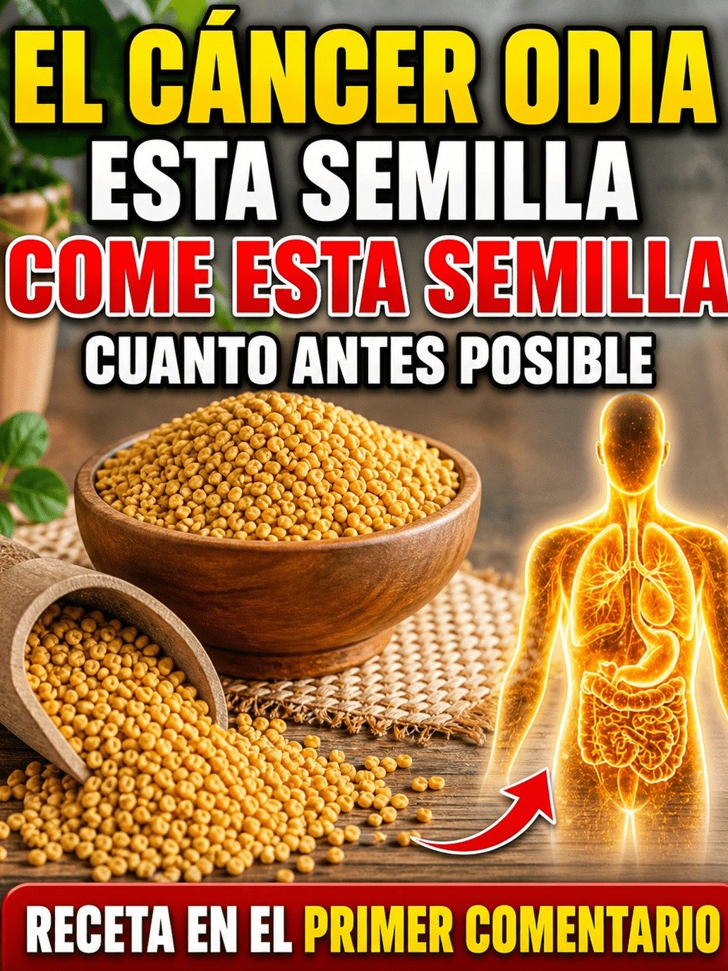 ¡El Secreto PROHIBIDO de los Oncólogos! 5 Semillas que TE BLINDARÁN contra el Cáncer y te Devolverán la ENERGÍA de tus 30 (¡Después de los 60!)
