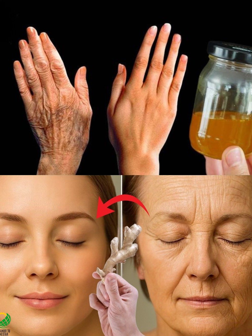 ¡El Secreto Anti-Edad que NADIE te ha Contado! Borra Arrugas y Manchas con Jengibre y Miel