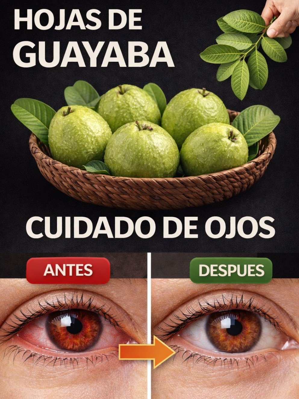 ¡Deja de Ignorar Esto! Descubre los 7 Secretos Ocultos de las Hojas de Guayaba que Transformarán Tu Salud HOY