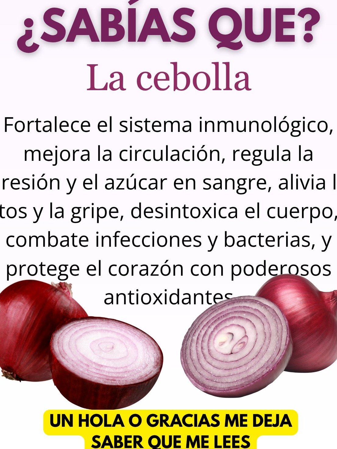 ¡El Secreto Guardado de Tu Cocina! 8 Beneficios INCREÍBLES de la Cebolla que Transformarán Tu Salud (y por qué DEBES comerla HOY)
