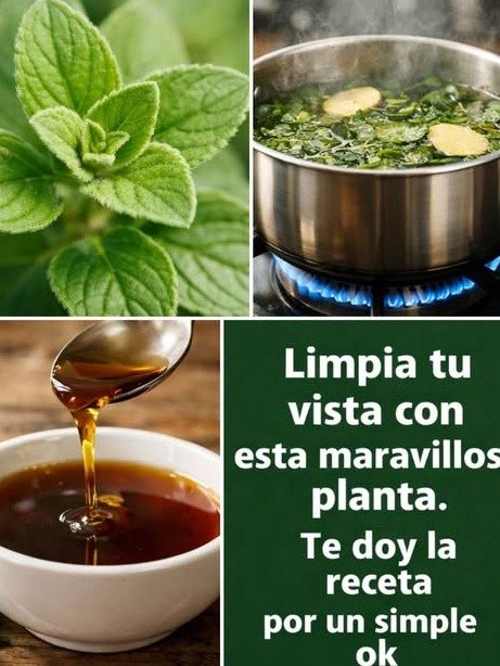 ¡Alerta Visual! 🌿 Descubre el 'Super Orégano' que tus ojos NECESITAN: ¿El Secreto Mejor Guardado para una Vista Impecable?