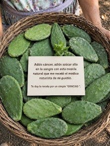 ¡El Nopal: El Superalimento del Desierto que Tu Cuerpo NECESITA URGENTE! Descubre sus 5 Poderes Ocultos y Transforma Tu Salud