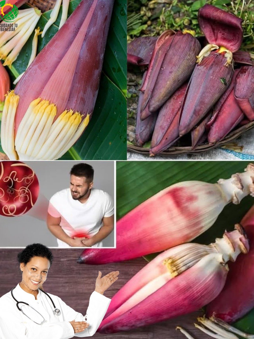 ¡URGENTE! Si Ves ESTA Flor en Tu Jardín, ¡Tienes Un Tesoro Escondido Que Vale MÁS Que El Dinero! Sus Poderes Curativos Te Dejarán Sin Palabras